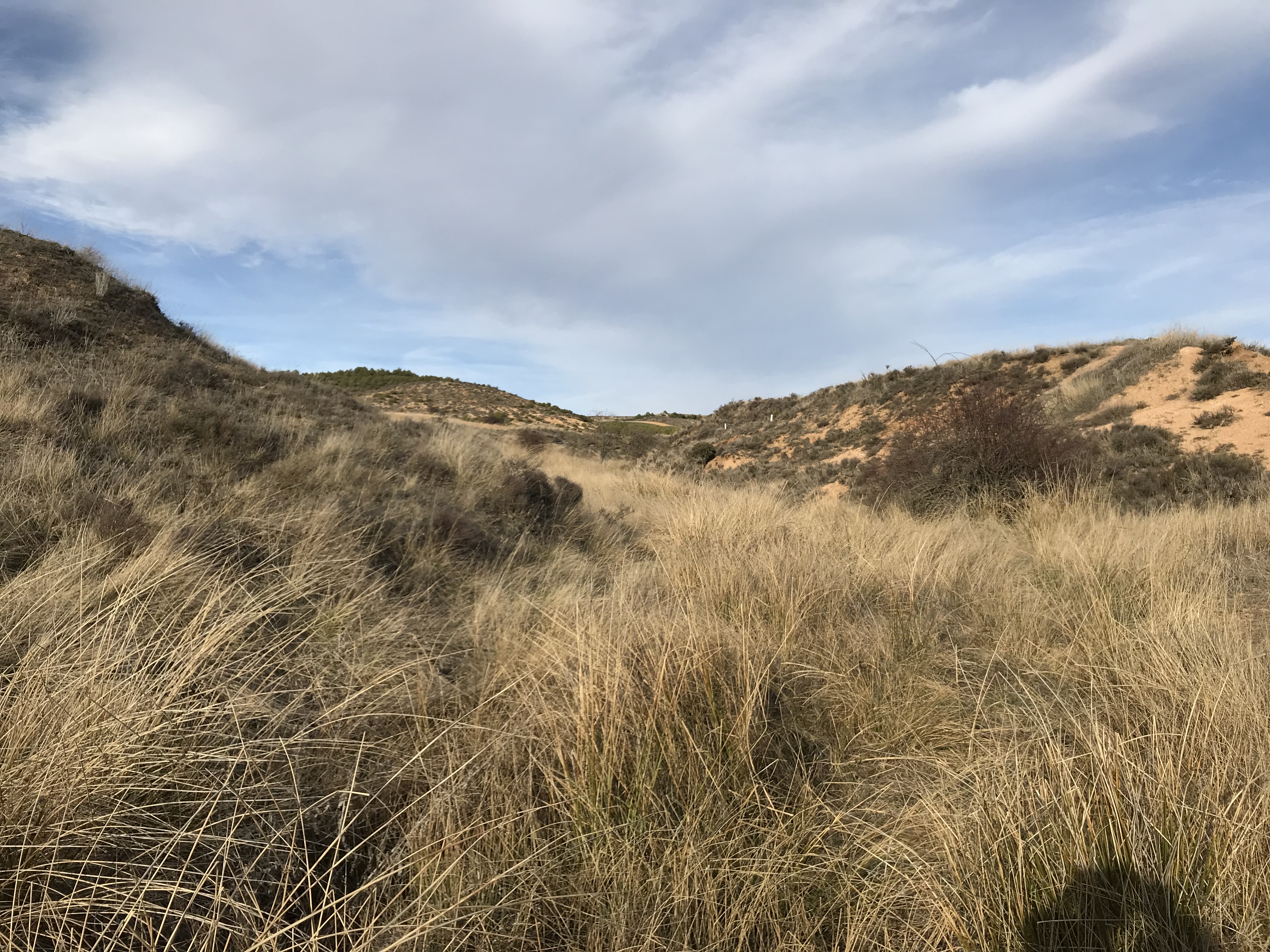 Paisaje 3