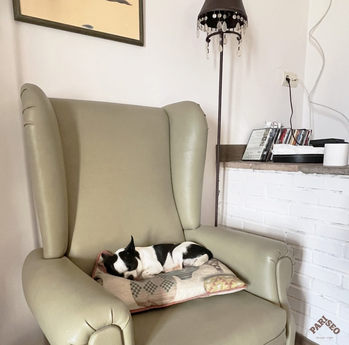 Rincón de descanso con sillón orejero en un ambiente pet-friendly donde las mascotas son bienvenidas