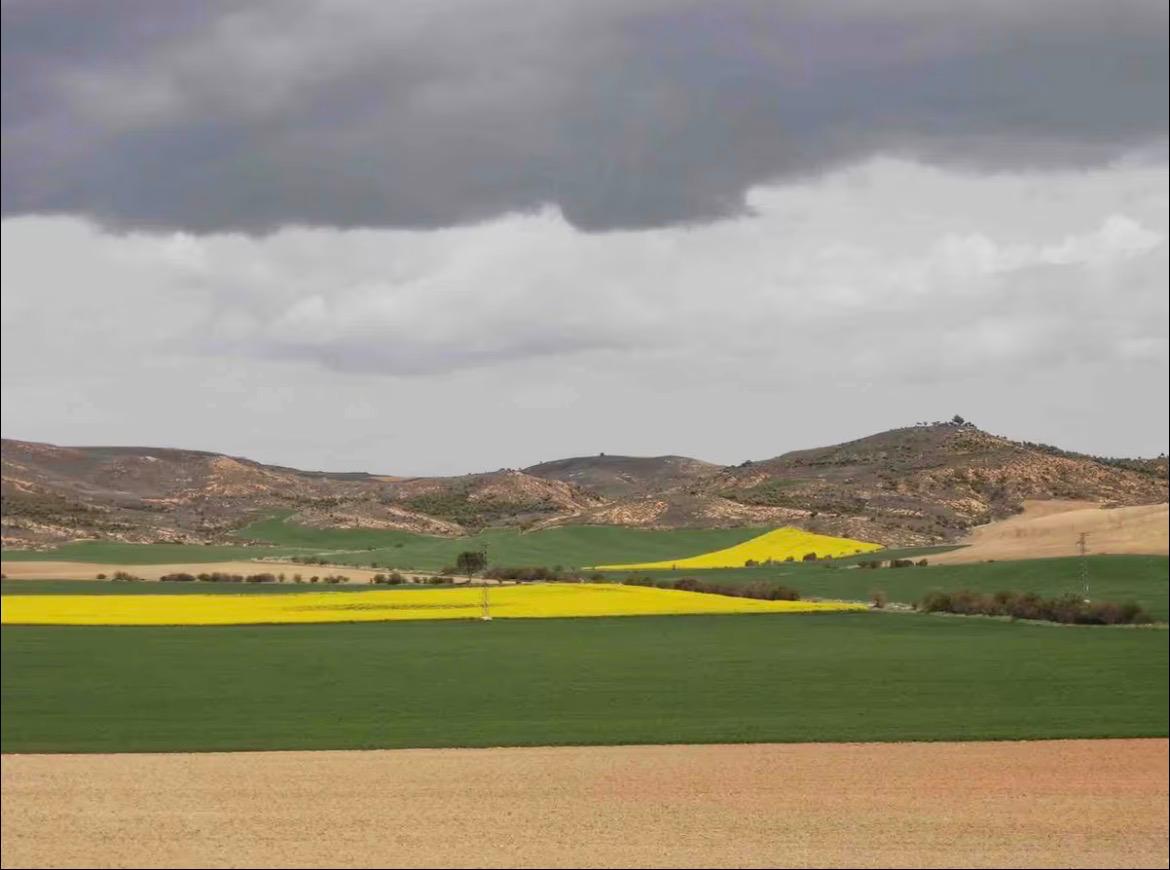 Paisaje 5