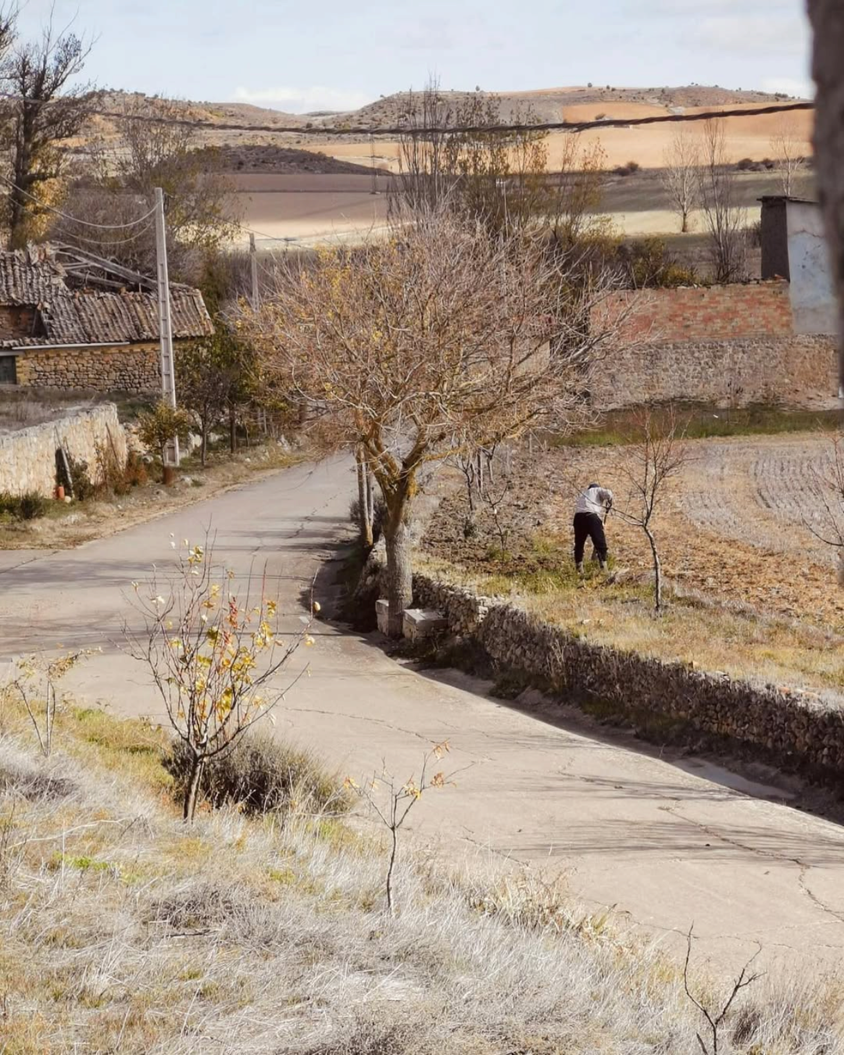 Paisaje 6